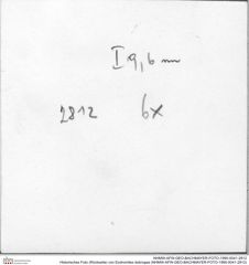 Historisches Foto (Rückseite) von Eodromites dobrogea (NHMW-AFW-GEO-BACHMAYER-FOTO-1990-0041-2812)
